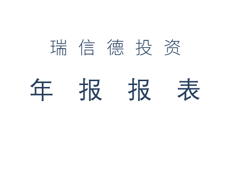 2018年报报表